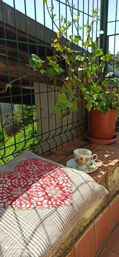 Casa Ernesto-Amica Dei Ciclisti Βίλα Acquasparta Εξωτερικό φωτογραφία